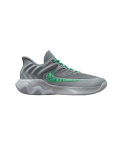 کتونی نایکی یانیس 4 طوسی سبز Nike Giannis Immortality 4 Smoke Grey Stadium Green